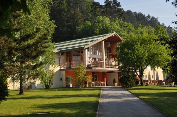 Ubicato nella località di Menges, a 15 km dal centro di Lubiana, l'Hotel Harmonija è un albergo con centro estetico e benessere che propone sport, attività ricreative e benessere immersi nella natura.