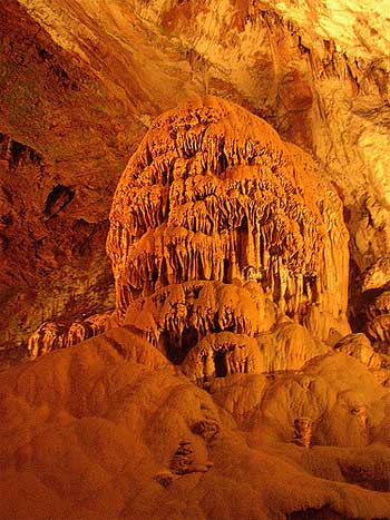 grotte di postojna