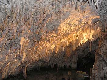 grotte di postumia slovenia